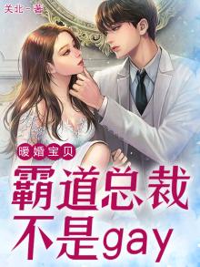 暖婚宝贝:霸道总裁不是gay