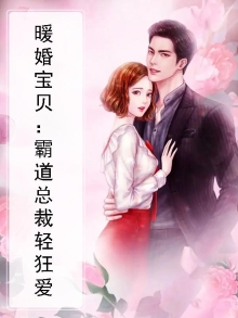 暖婚宝贝:霸道总裁轻狂爱