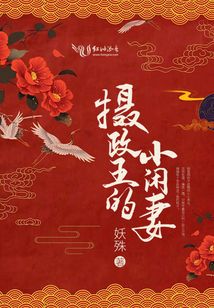 摄政王的小闲妻男女主什么时候在一起