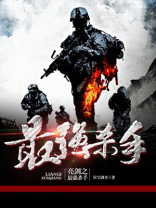 亮剑之最强杀手小说
