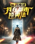 唯我独法:我在都市修奥法
