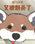掌门今天又被刺杀了