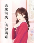 恶魔前夫,请勿离婚