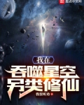 我在吞噬星空另类修仙