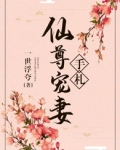 仙尊宠妻手札