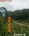 剩男之傻男的故事