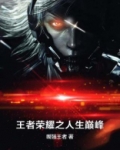 王者荣耀之人生巅峰