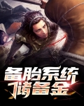 备胎系统储备金